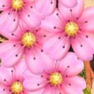 Meet your Posher, Giselle